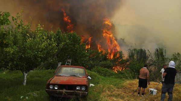 Verheerende Waldbrände in Griechenland: Tausende auf der Flucht
