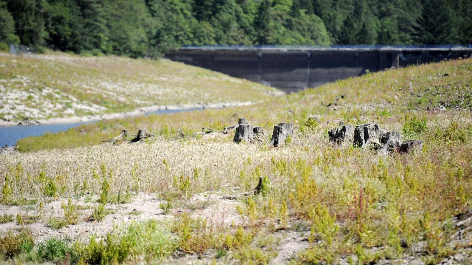 L-tschetalsperre-im-Ilm-Kreis-zwischen-Trauerspiel-und-Verst-ndnis