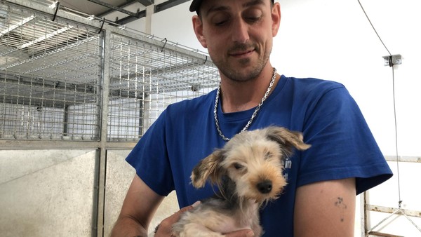 Leser lieben diese 20 Geschichten aus Helmstedt aus 2025