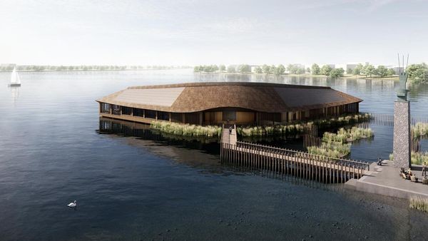 Schwimmen in der Alster: Die Idee hatte einst ein Bürgermeister