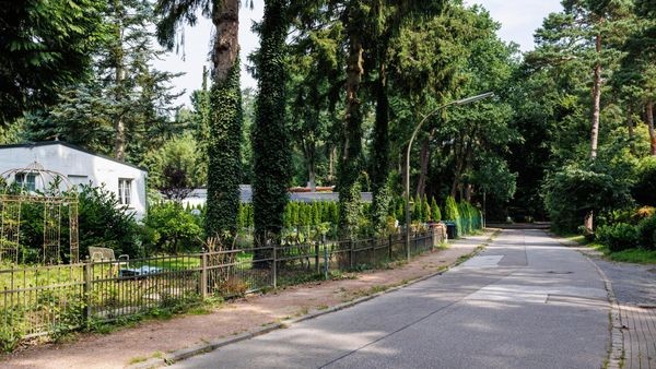 Immobilien in Hamburg: Was Villen und Wohnungen am Waldrand kosten