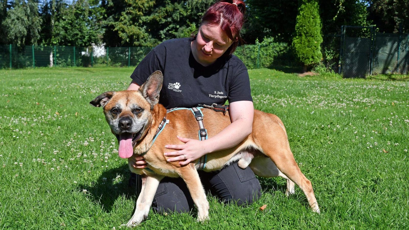 Zweites Mal im Tierheim Bochum: „Cooler Familienhund" sucht Zuhause
