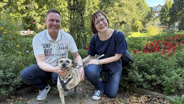 Verein Sozialfelle besorgt: „Das Haustier wird zum Luxusgut“