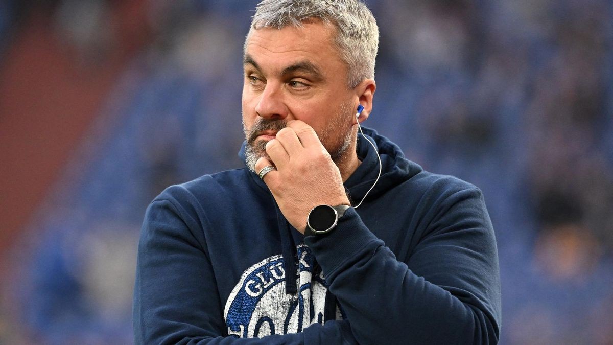 Thomas Reis: Darum ist es für Trainer auf Schalke so schwer
