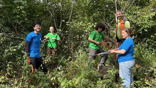 Waldarbeit als Urlaub: Lieber die Natur schützen als Party machen