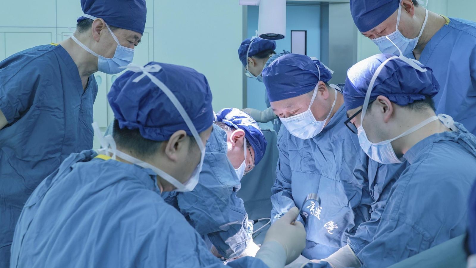 Medizinische-Sensation-Erstmals-Schweinelunge-transplantiert