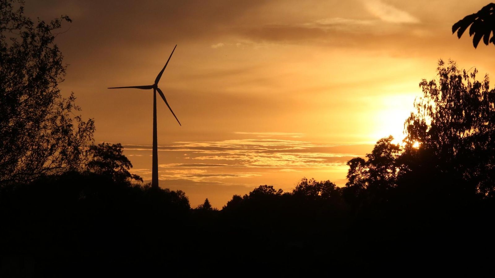 Erfurter-Firma-plant-Windkraftanlage-im-n-rdlichen-Kreis-Greiz