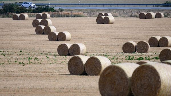 Bis zu 27 Grad – Wechselhaftes Wetter zum Augustende in Thüringen erwartet