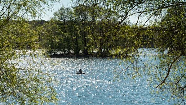 Lageso spricht Warnung für beliebten Berliner Bade-See aus