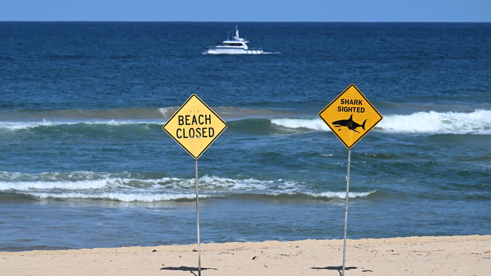 N-chster-Hai-Angriff-in-Australien-Retter-raten-zu-Schwimmbadbesuch