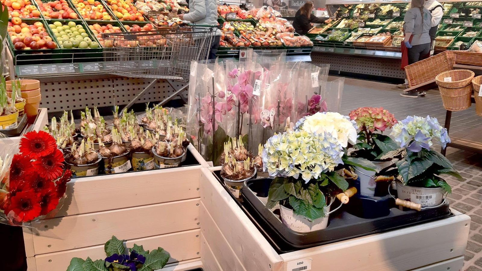 Ein-aufbl-hendes-Gesch-ft-Blumen-im-Supermarkt-erleben-Boom
