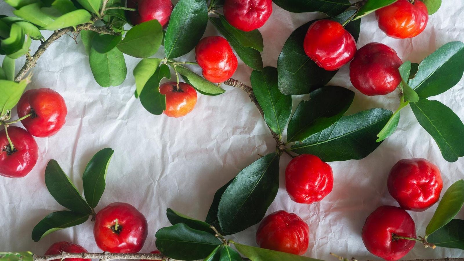 Vitamin-C-Diese-Lebensmittel-sind-die-besten-Quellen