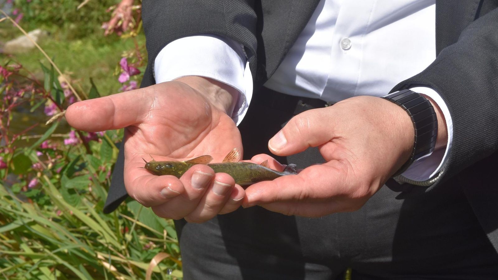 Angler-gegen-Angler-wegen-Barben-Besatzes-in-Saalfeld