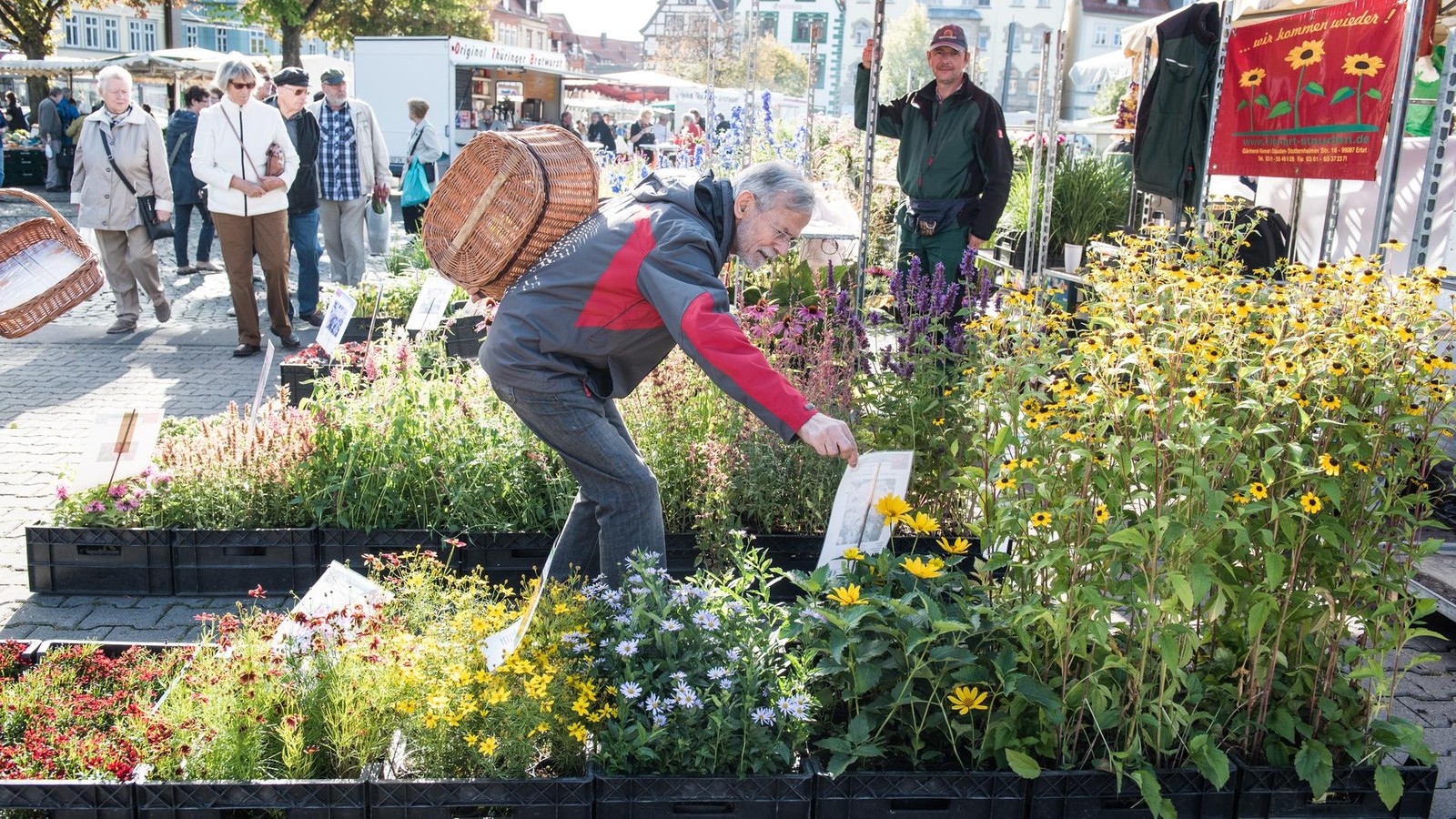 Herbstm-rkte-in-Th-ringen-Das-sind-die-9-Highlights