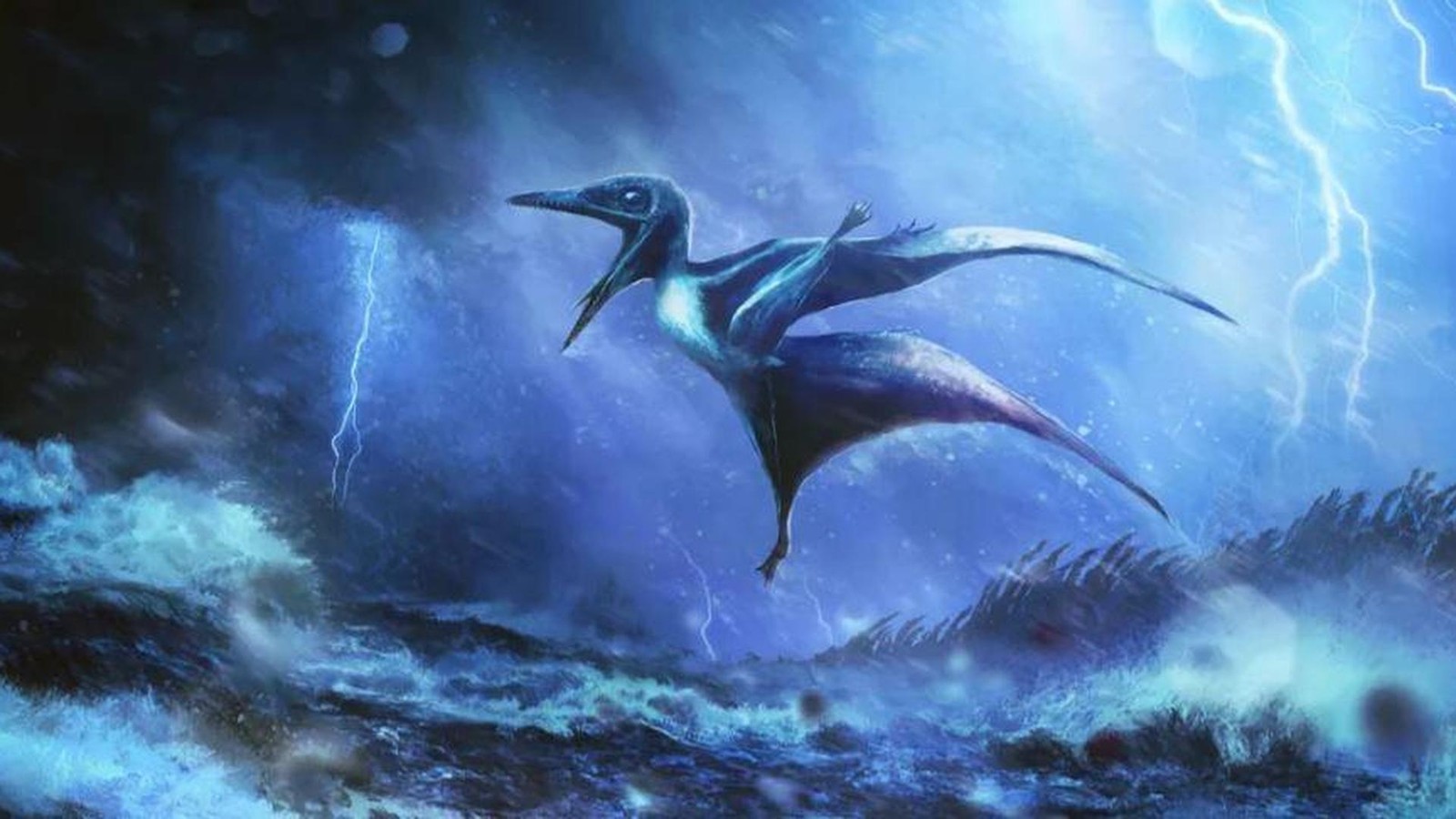 Fossilien-enth-llen-F-hrte-ein-Sturm-zum-Massensterben-im-Jura-