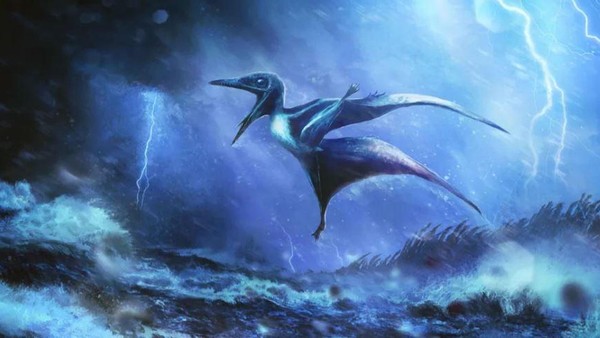 Fossilien enthüllen: Führte ein Sturm zum Massensterben im Jura?