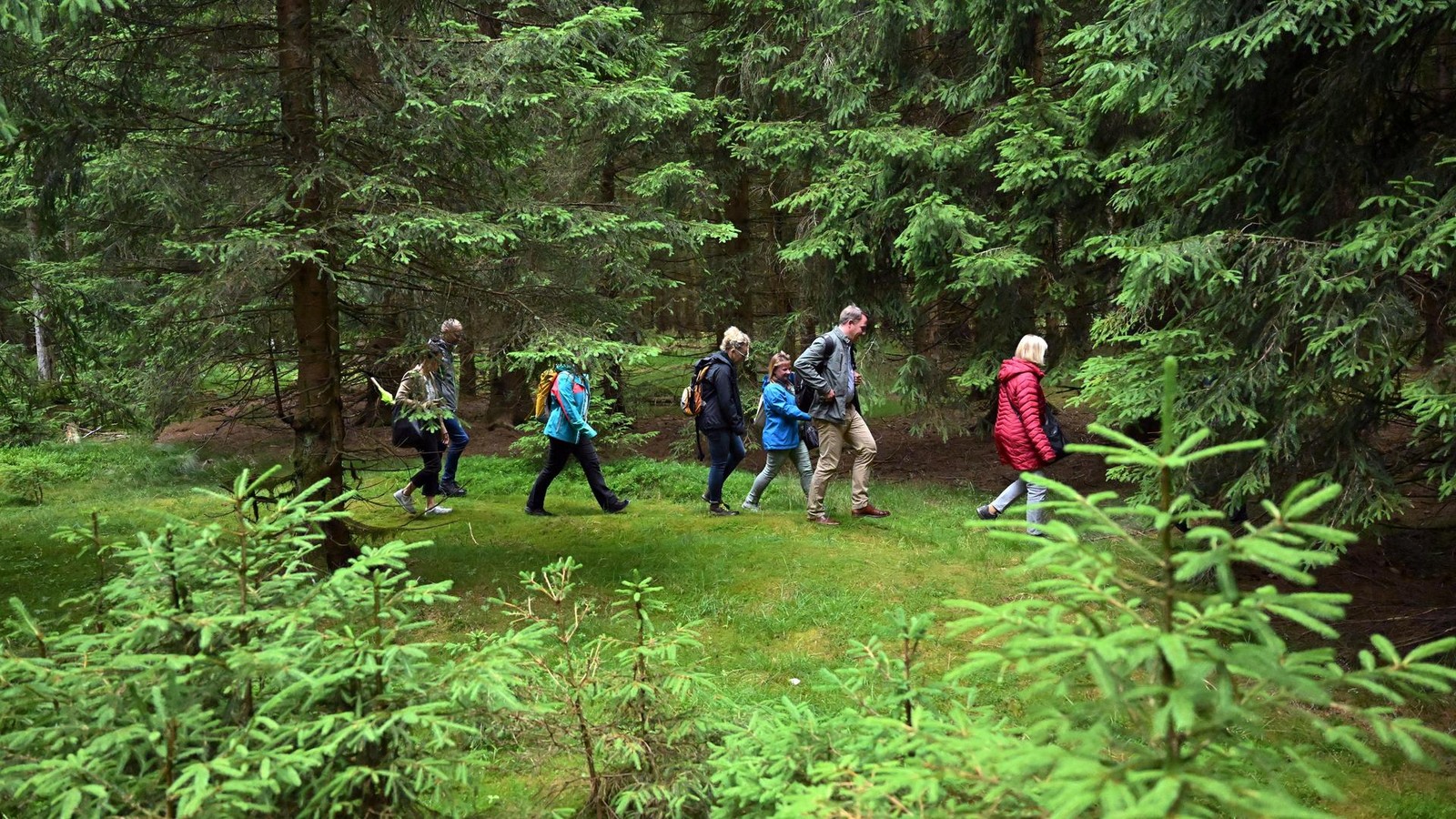 Th-ringen-Quiz-Wie-hei-t-der-bekannteste-Wanderweg-im-Freistaat-Th-ringen-