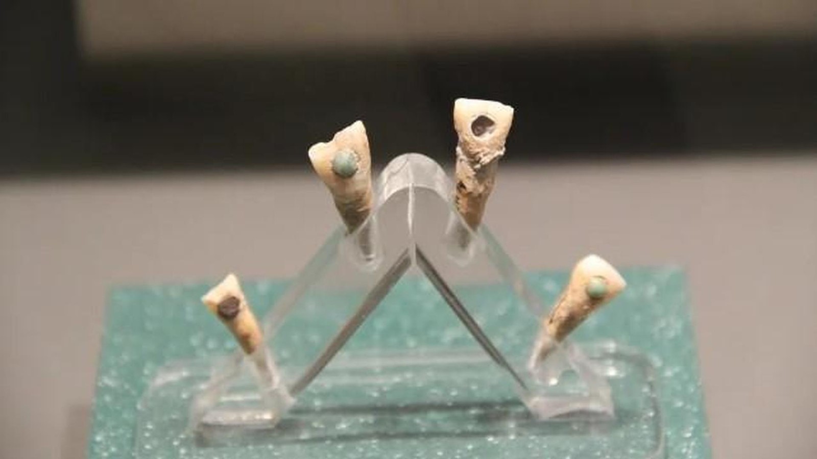 Au-ergew-hnlicher-K-rperschmuck-der-Maya-berrascht-Forscher