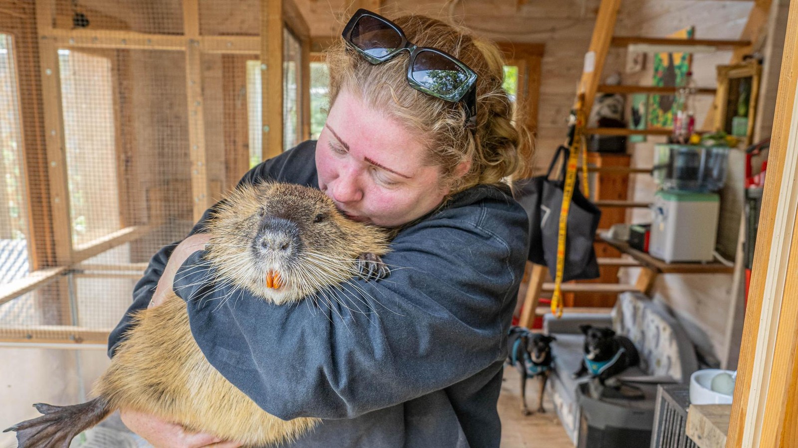 B-ller-und-Raketen-F-r-manche-beginnt-jetzt-die-schlimmste-Zeit-des-Jahres