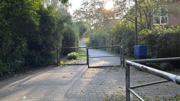 Freie Fahrt für Radler: Grüne wollen „Hammelgitter“ entfernen