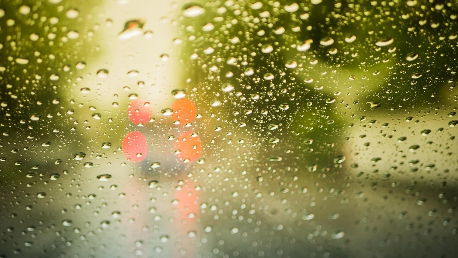 Unwetter-im-Harz-Wetterdienst-warnt-vor-Sturm-und-Regen