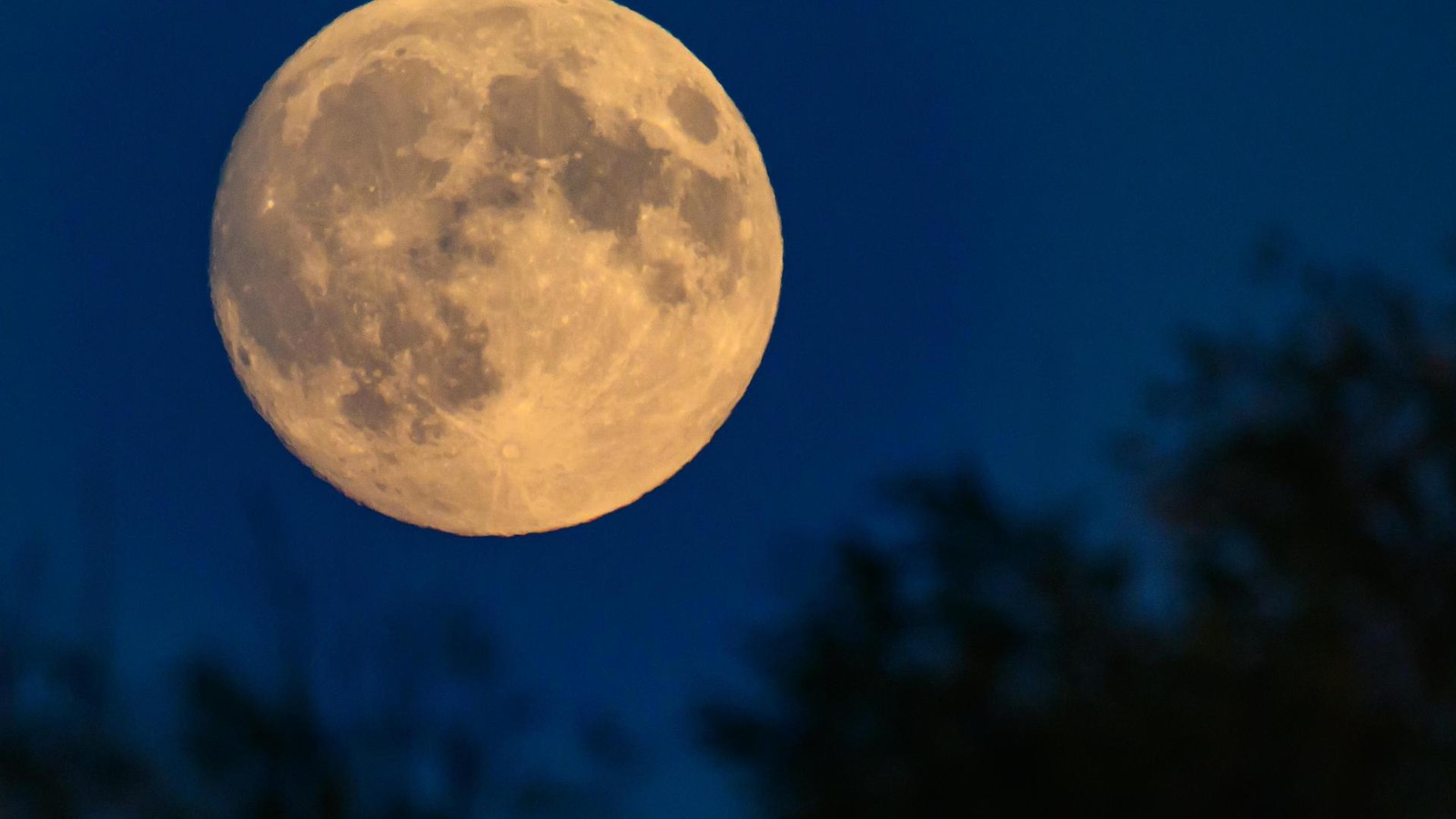 Spektakel-am-Nachthimmel-Supermond-trifft-Sternschnuppen