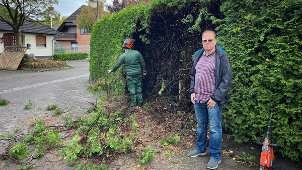 Im Video: Gefährliche Thujahecke muss weichen – der Kahlschlag