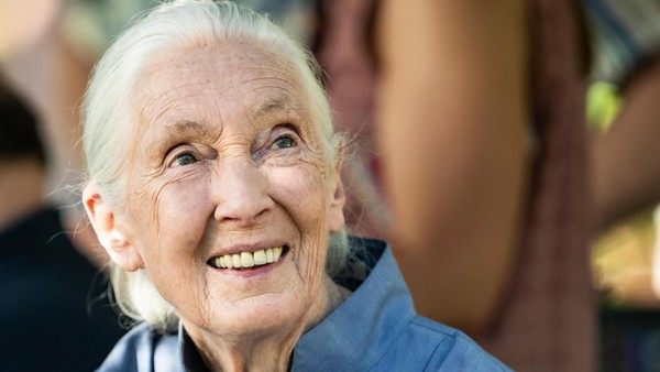 In letztem Interview rechnet Jane Goodall mit Trump und Co. ab