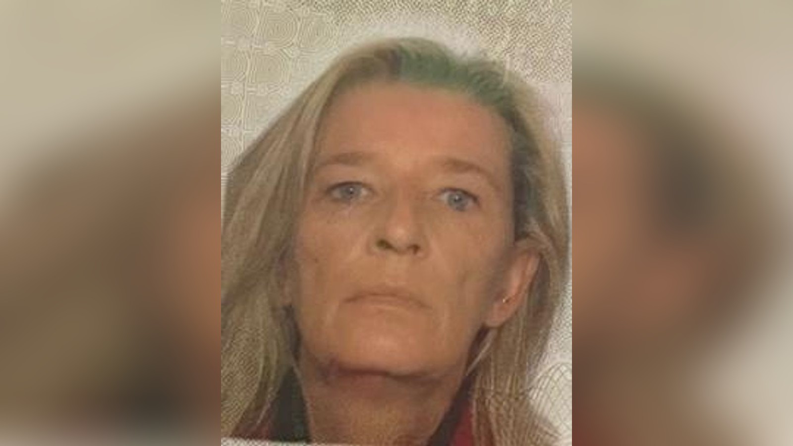 60-J-hrige-aus-Langenhorn-vermisst-sie-kam-nie-aus-dem-Moor-zur-ck