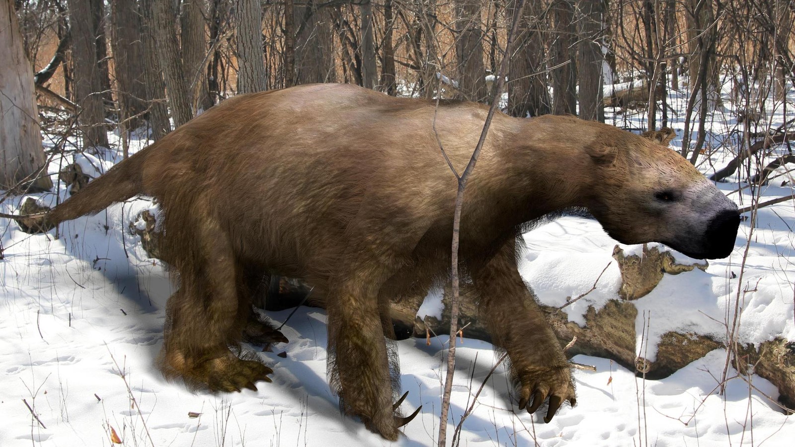 Knochenfunde-Was-stand-beim-Fr-hmenschen-auf-dem-Speiseplan-