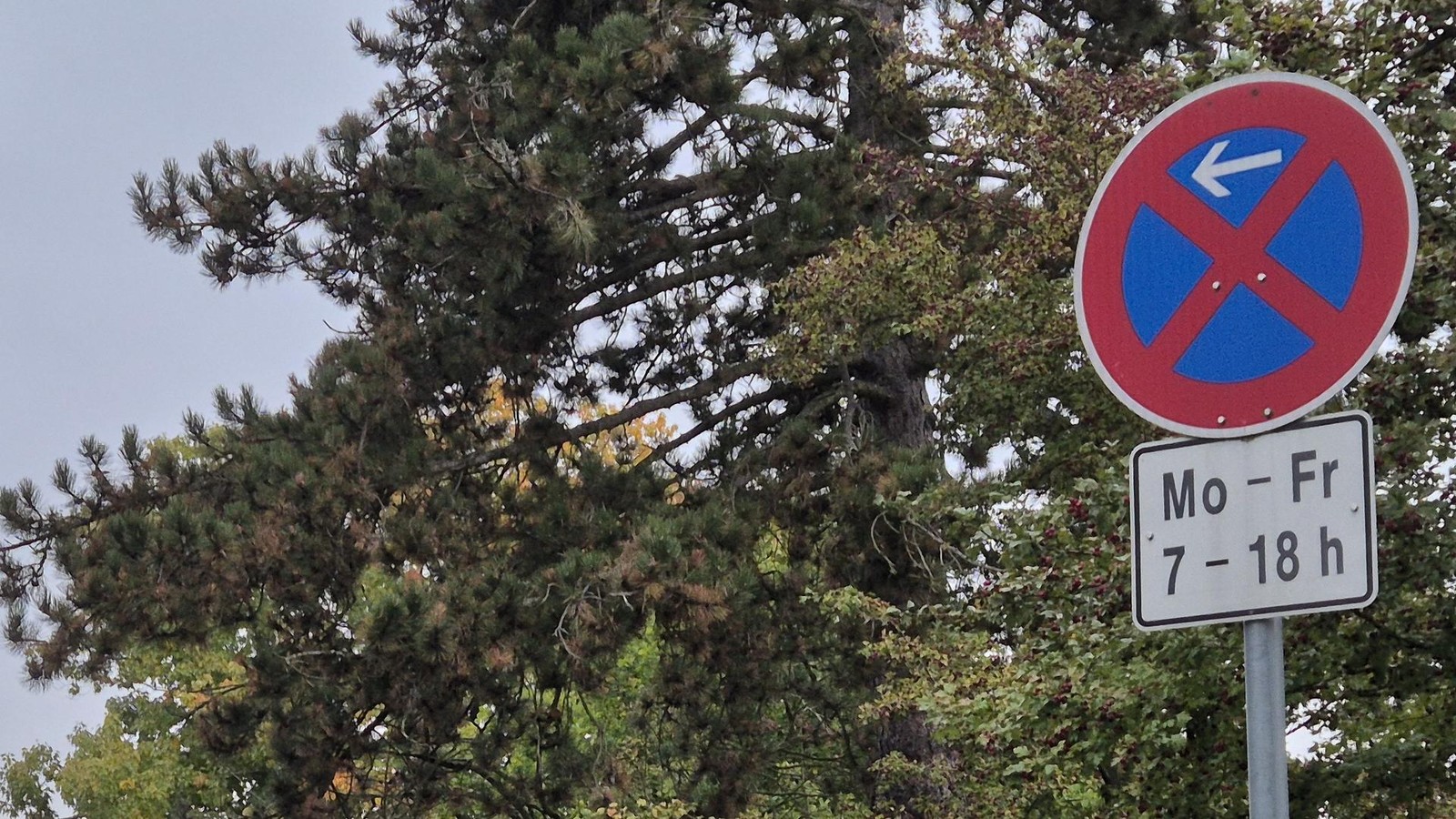 Unbekannte-werfen-Verkehrsschild-gegen-Scheibe-von-Kita-in-Thiede
