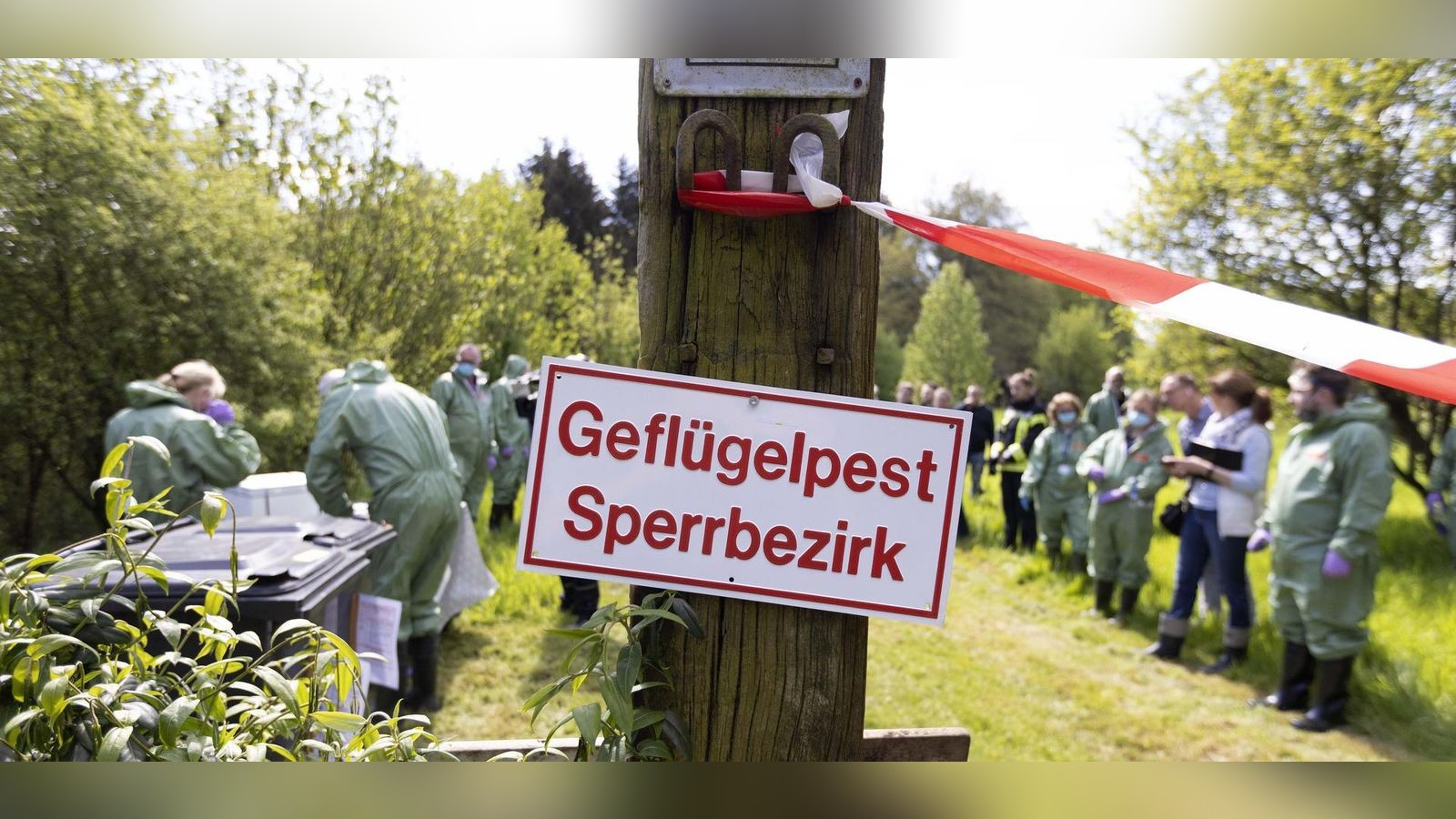 Gefl-gelpest-Kreis-Greiz-Weitere-Betriebe-vom-Virus-betroffen