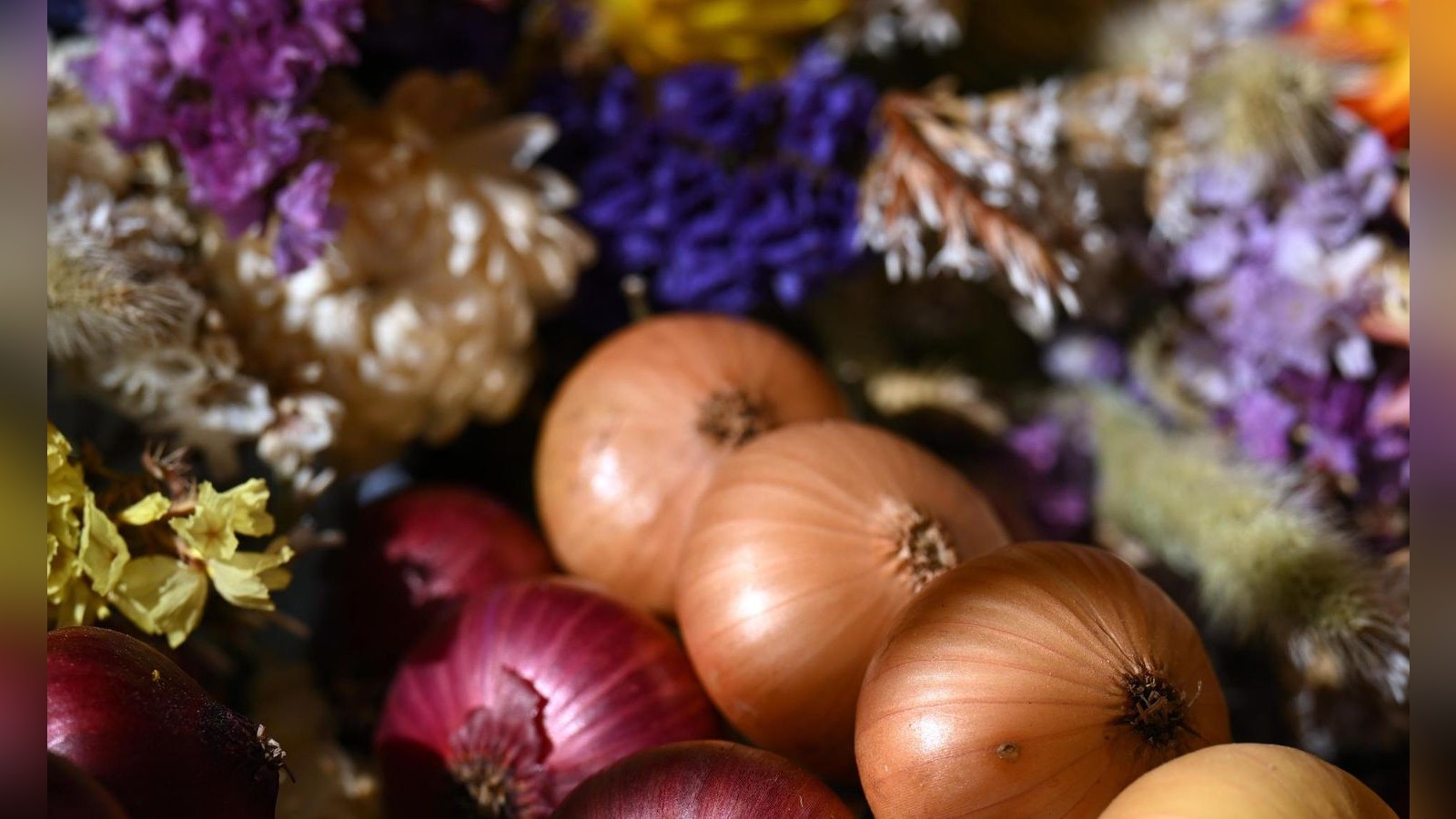 Th-ringen-Quiz-Was-darf-auf-dem-Weimarer-Zwiebelmarkt-nicht-fehlen-