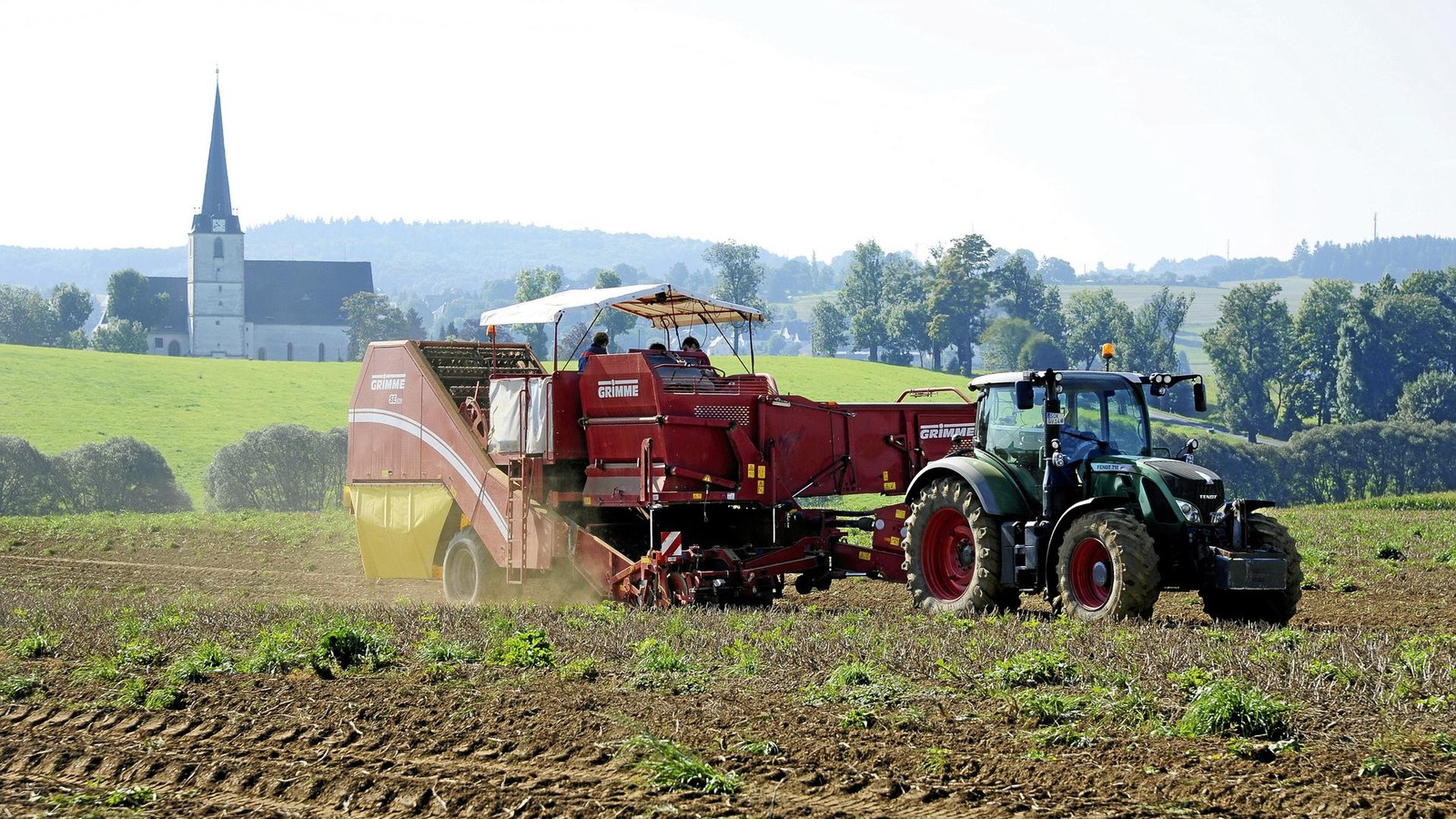 Zu-viel-Kartoffeln-geerntet-Erzeugerpreise-im-Keller-berangebot-k-nnte-auch-im-Futtertrog-und-in-Biogasanlagen-landen