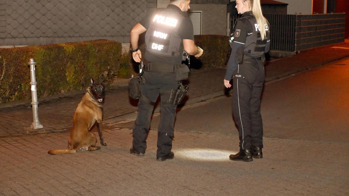 Ein Diensthundeführer wurde hinzugezogen, um eine mögliche Tatwaffe zu finden. Großer Messereinsatz im Magen