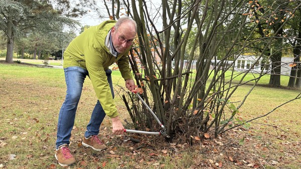 Sträucher im Garten: Sieben Tipps für den Schnitt im Herbst