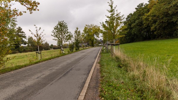 Schenk dir doch ‘nen Baum: Hier verewigen sich Sprockhöveler