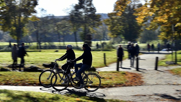 Kemnader See: 15 Meter langer Baum kracht auf Radweg