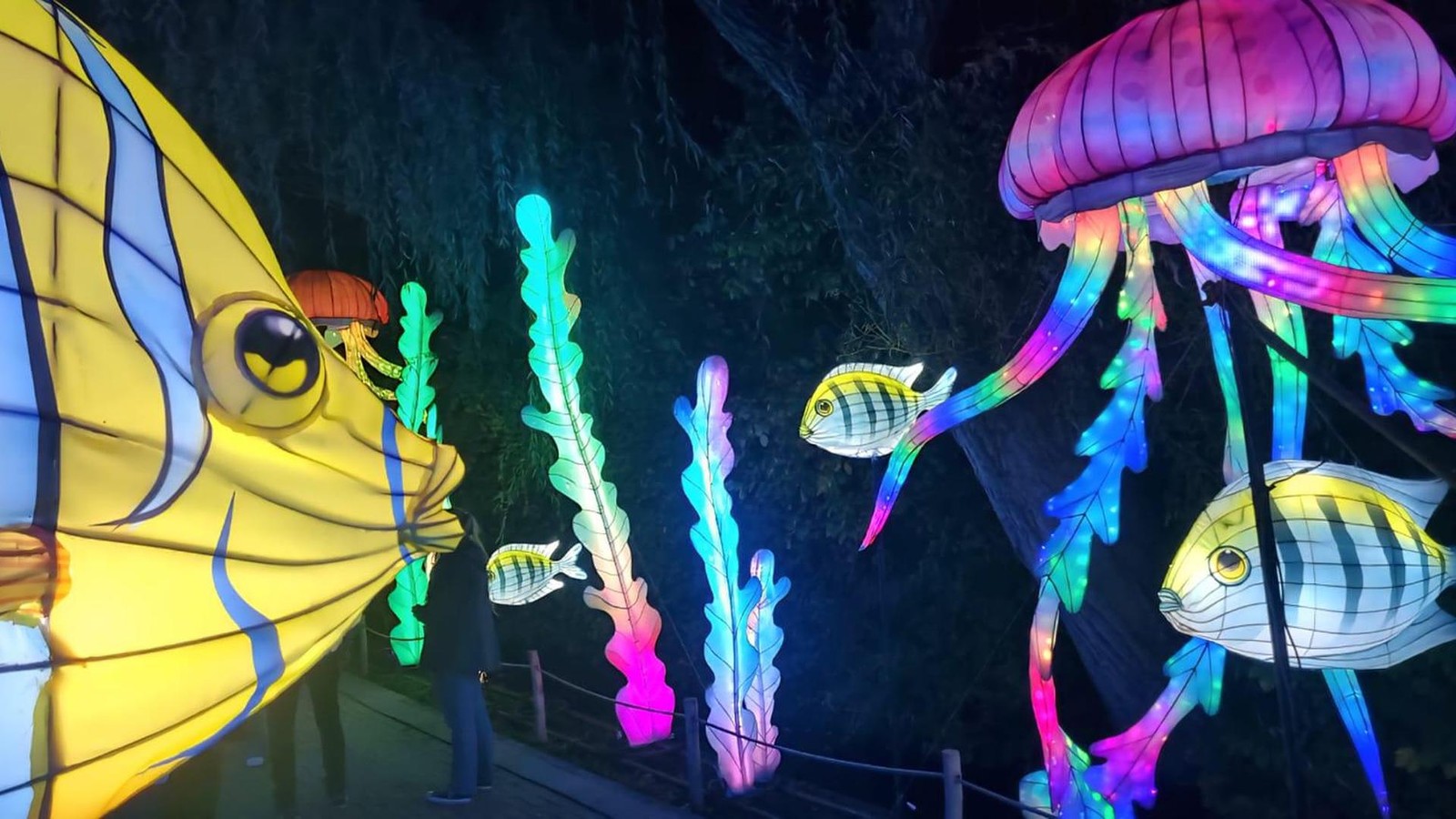 So-bunt-ist-der-Winter-in-NRW-das-sind-die-sch-nsten-Lichterfeste-2025-