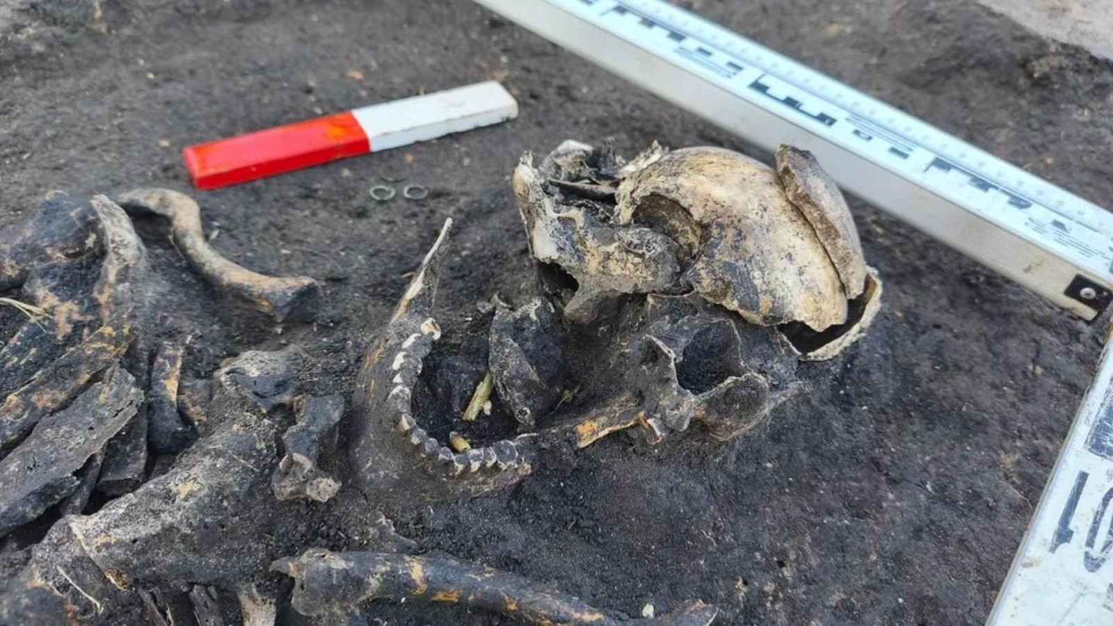 Arch-ologische-Sensation-in-Polen-Mittelalterliche-berreste-entdeckt