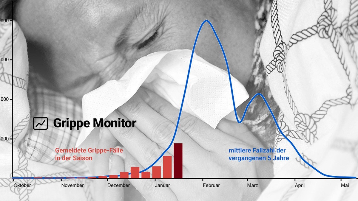 grippe-monitor-grippewelle-teaser