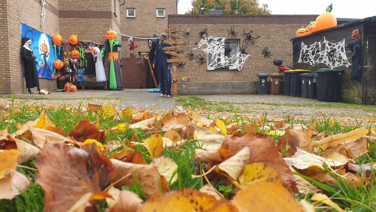 Halloween Skelett Dekoration Mit Musik & Beweglichen Gelenken