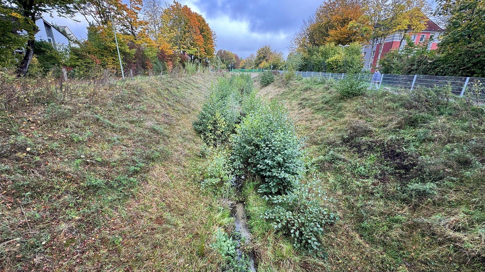 Wuchernde-Str-ucher-am-Herner-Ostbach-Ist-das-so-in-Ordnung-