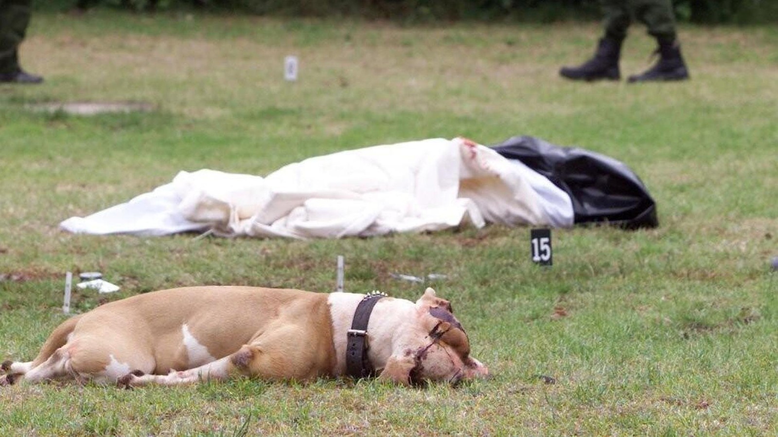 25-Jahre-nach-Tod-des-kleinen-Volkan-Bekommt-Sechsj-hriger-einen-Gedenkstein-