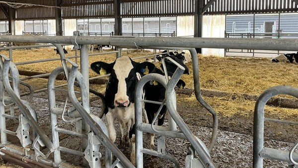 In diesem Dorf hat die Zukunft der Landwirtschaft schon begonnen