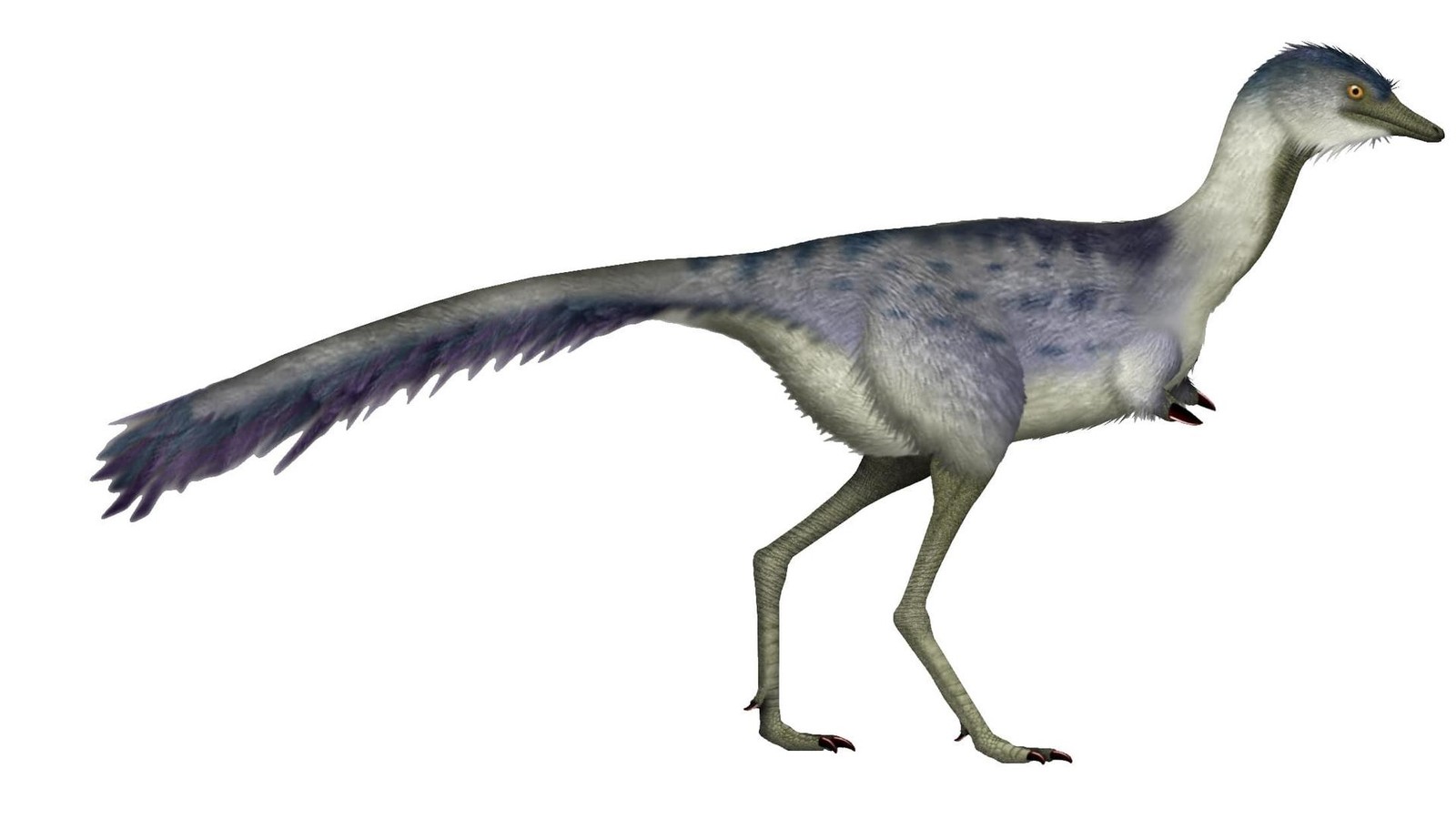 Sensationsfund-in-Argentinien-Forscher-entdecken-intaktes-Dinosaurier-Ei