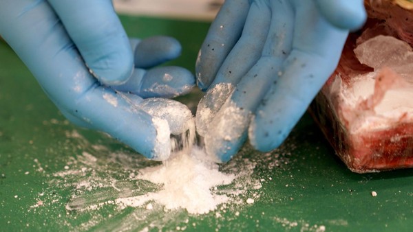 12 Kilogramm Kokain: Polizei stellt Rekordmenge in Wolfsburg sicher