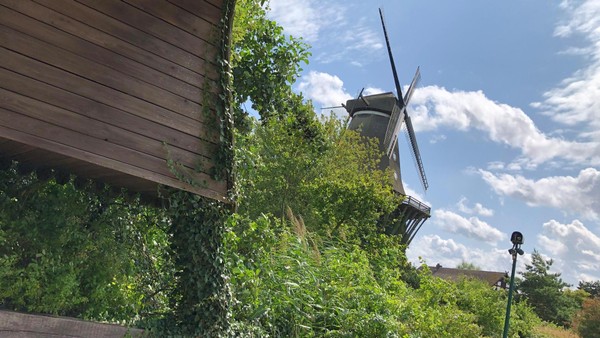 Mühlenmuseum Gifhorn – jetzt sind die Brücken zu den Mühlen einsturzgefährdet