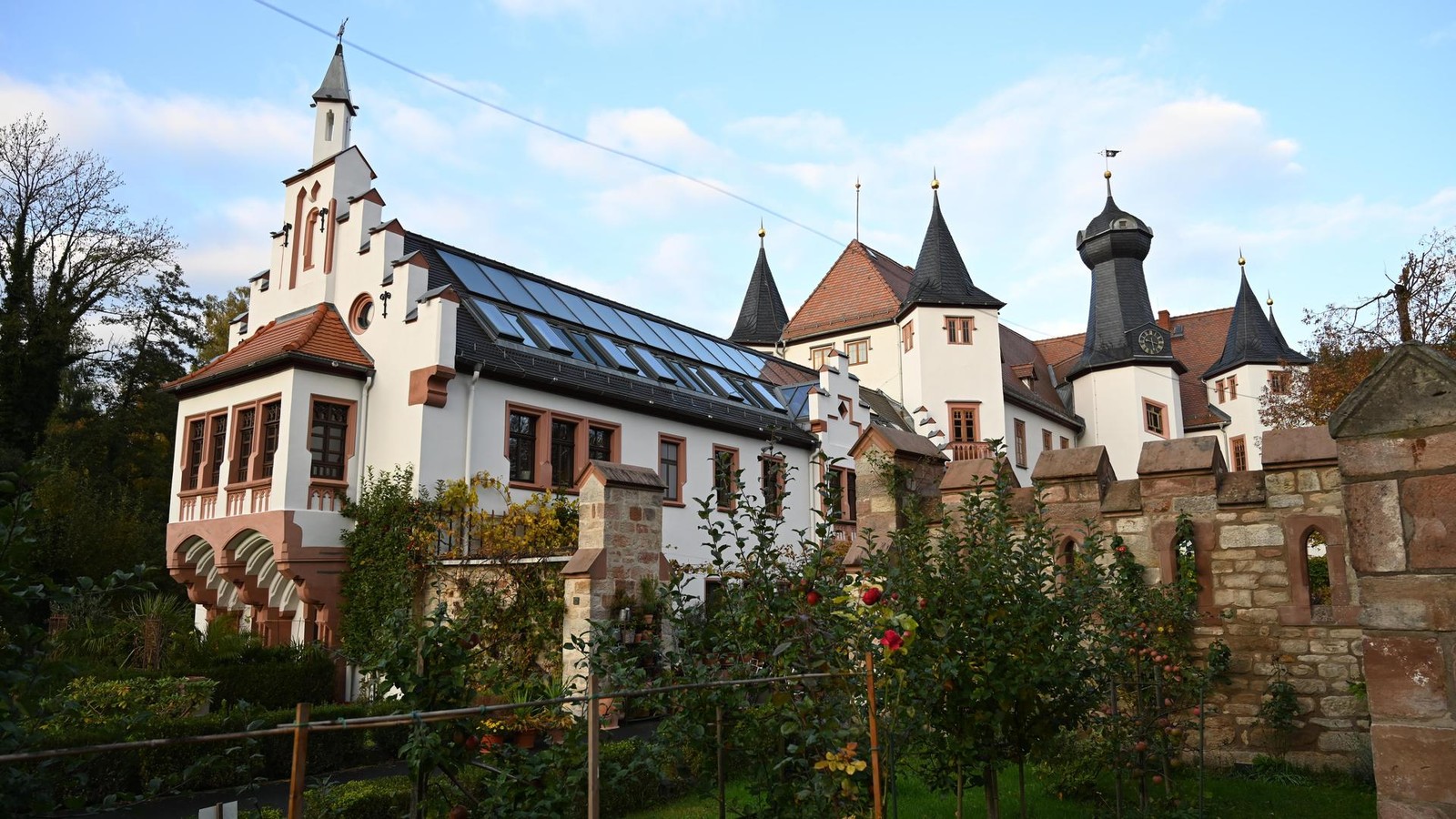 Saale-Holzland-Beh-rde-verlangt-weiterhin-Bauantrag-f-r-einfachen-Weidezaun