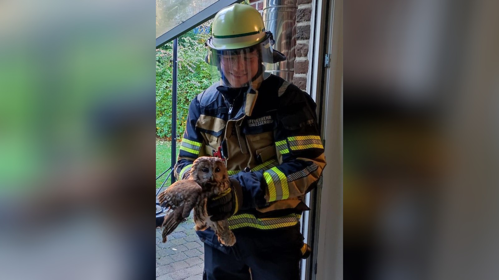 Falsch-geflogen-Eule-verirrt-sich-in-Essener-Kamin-Feuerwehr-r-ckt-aus